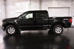 2026 Ford F-150 XLT 5-1/2' Box