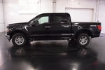 2025 Ford F-150 XLT 5-1/2' Box