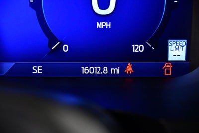 2024 Ford F-150 XLT 5-1/2' Box