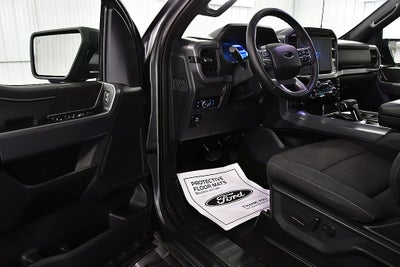 2025 Ford F-150 XLT 5-1/2' Box