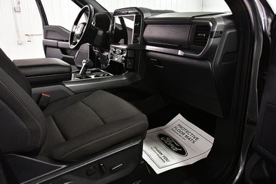 2025 Ford F-150 XLT 5-1/2' Box