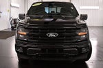 2025 Ford F-150 XLT 5-1/2' Box