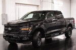2025 Ford F-150 XLT 5-1/2' Box