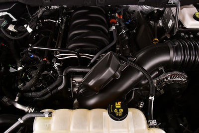 2025 Ford F-150 Tremor 5-1/2' Box