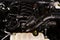 2025 Ford F-150 Tremor 5-1/2' Box