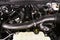 2026 Ford F-150 Tremor 5-1/2' Box