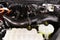 2025 Ford F-150 Platinum 5-1/2' Box