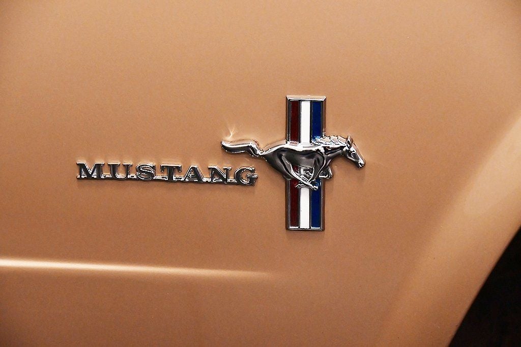 1966 Ford Mustang Base